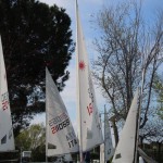 Mednarodna regata v organizaciji SVBG in TPK Sirena