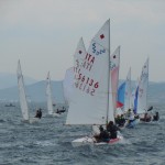 Mednarodna regata v organizaciji SVBG in TPK Sirena