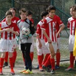 Kras Repen - Opicina