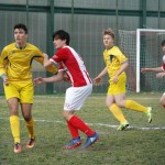 Kras Repen - Opicina