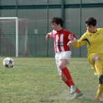 Kras Repen - Opicina