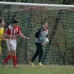 Kras Repen - Opicina