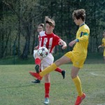 Kras Repen - Opicina