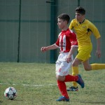 Kras Repen - Opicina