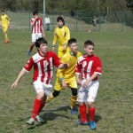 Kras Repen - Opicina