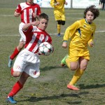 Kras Repen - Opicina