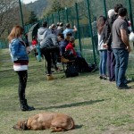 Kras Repen - Opicina