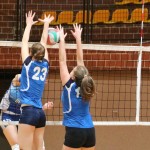 Eurovolleyschool – Zalet Kontovel