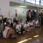 Volley Mania