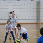 Volley Mania