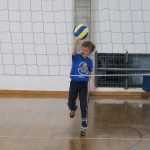 Volley Mania