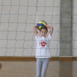 Volley Mania