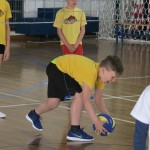 Volley Mania