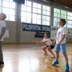 Volley Mania