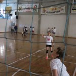 Volley Mania
