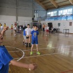 Volley Mania