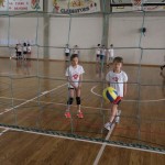 Volley Mania