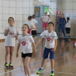 Volley Mania