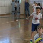 Volley Mania