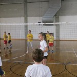 Volley Mania