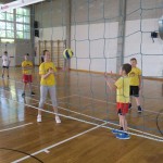 Volley Mania