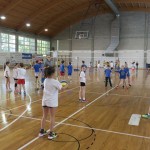 Volley Mania