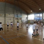 Volley Mania