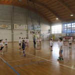 Volley Mania