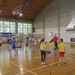 Volley Mania