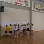 Volley Mania