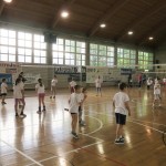 Volley Mania