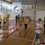 Volley Mania