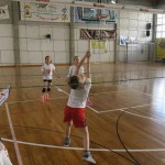 Volley Mania