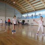 Volley Mania