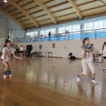 Volley Mania