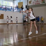 Volley Mania