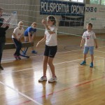 Volley Mania