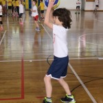 Volley Mania