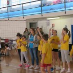 Volley Mania