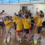 Volley Mania