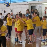 Volley Mania