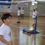 Volley Mania