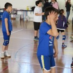 Volley Mania