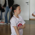 Volley Mania