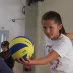 Volley Mania