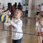 Volley Mania