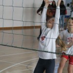 Volley Mania