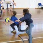 Volley Mania