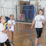 Volley Mania