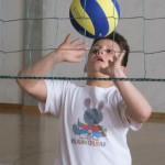 Volley Mania